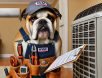 funny-bulldog-hvac-technician A serious yet puzzled bulldog dressed as an HVAC technician, wearing a tool belt and baseball cap, inspecting an air conditioning unit with a clipboard in a humorous residential repair scene.
